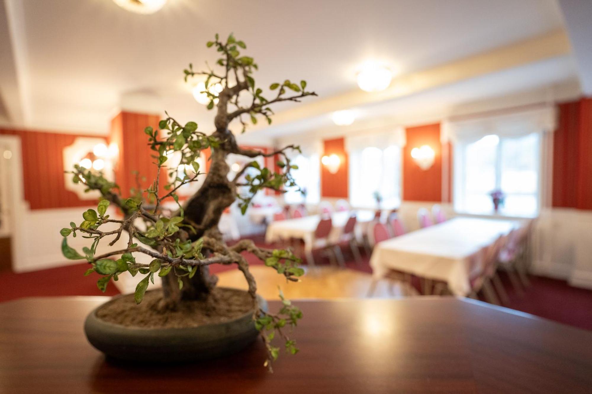 Frederiksvaerk Hotel Экстерьер фото